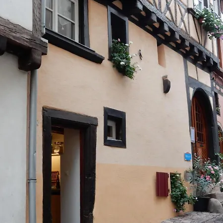 Vintage In With Terrace Apartment Riquewihr